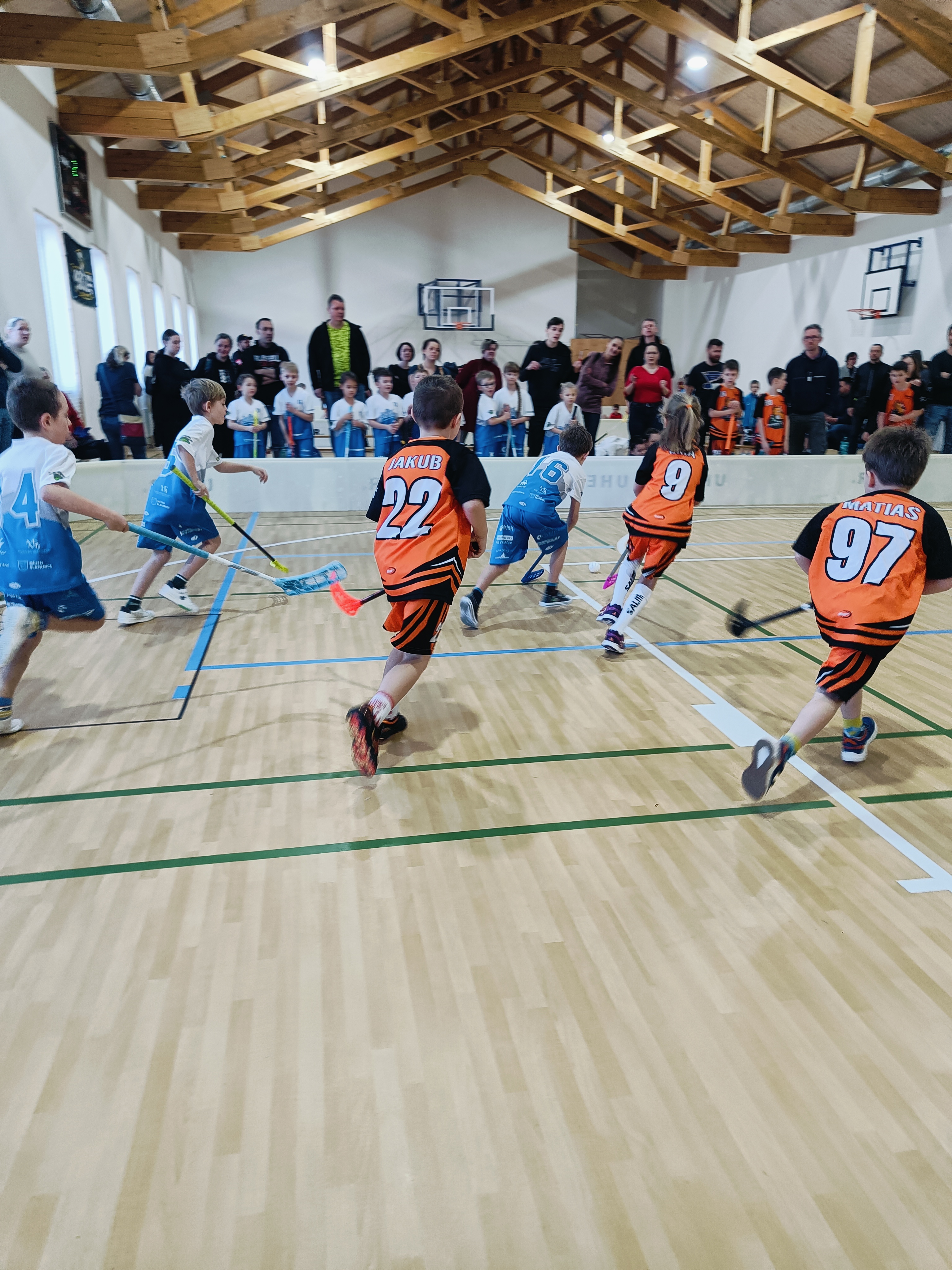 Orel jednota Šlapanice